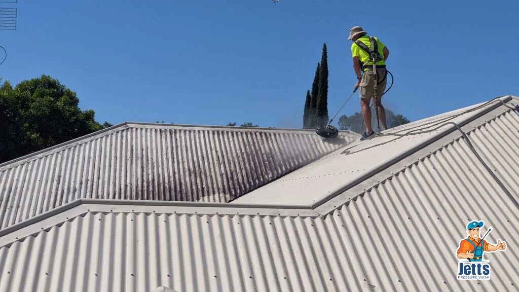 Roof cleaning services, roof and gutter clean using pressure washer